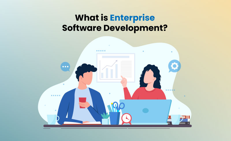 What is Enterprise Software Development