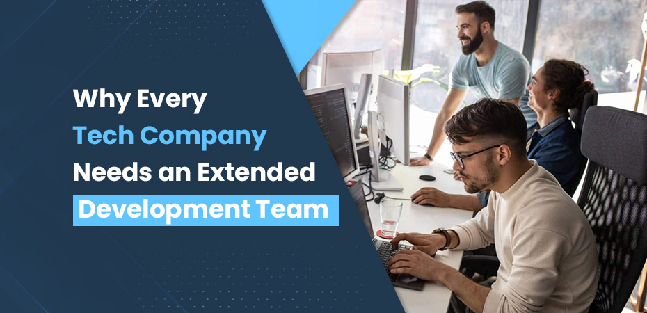 Extended Development Team